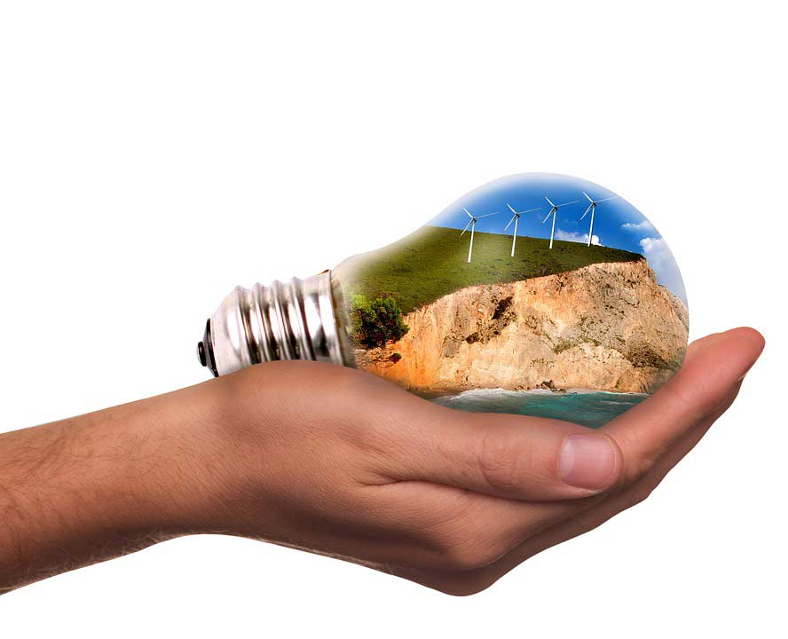 Wie kann ich die Umwelt schützen?